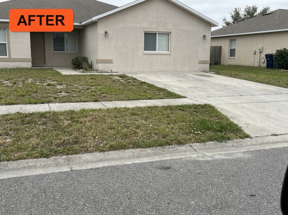 Same curb cleared and clean, after